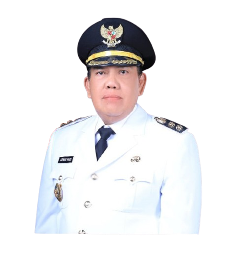 Bapak Wakil Bupati Lampung Timur